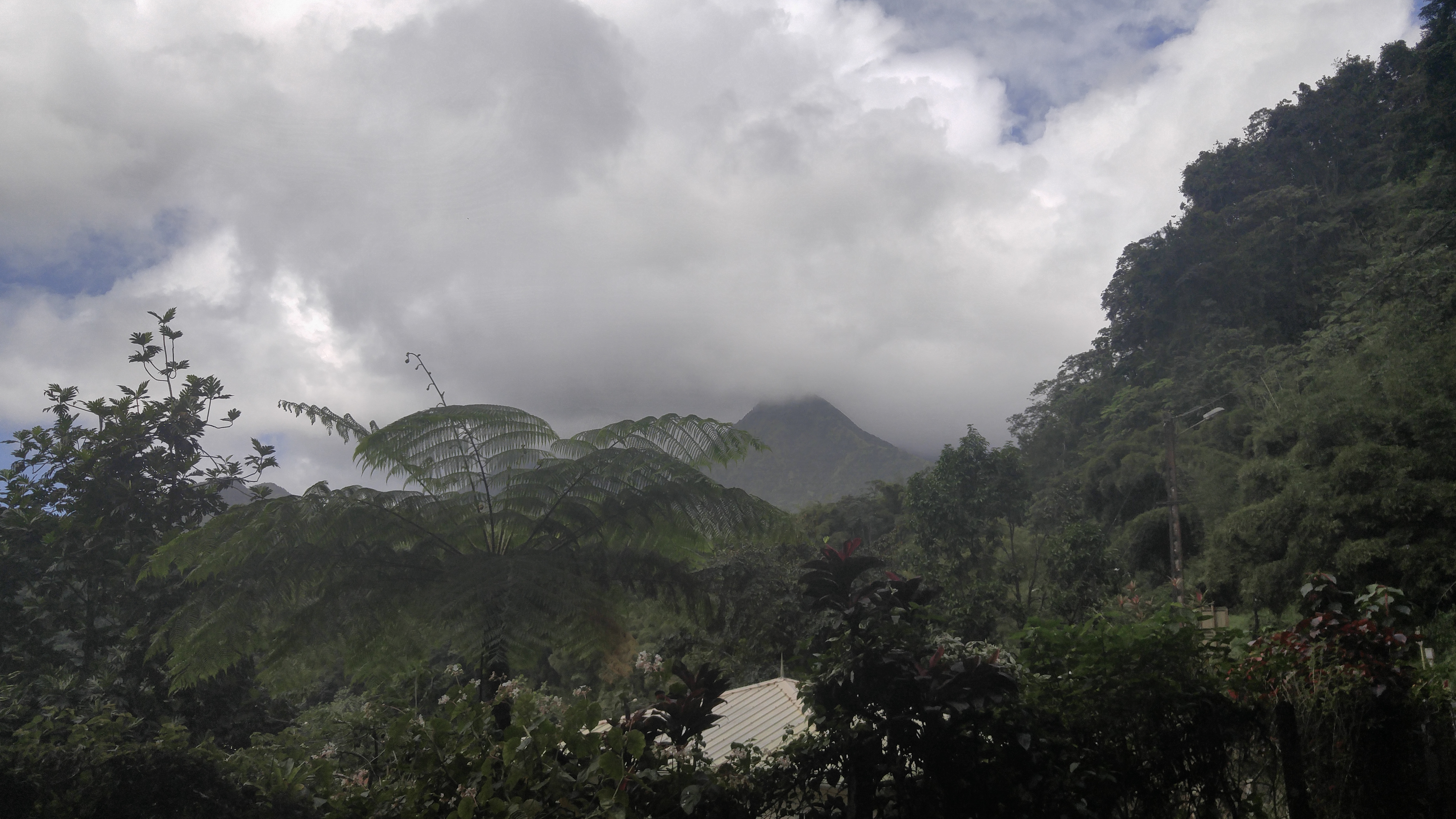 10 Amazing Things To Do In Martinique