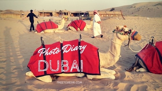 Photo Diary : Dubai
