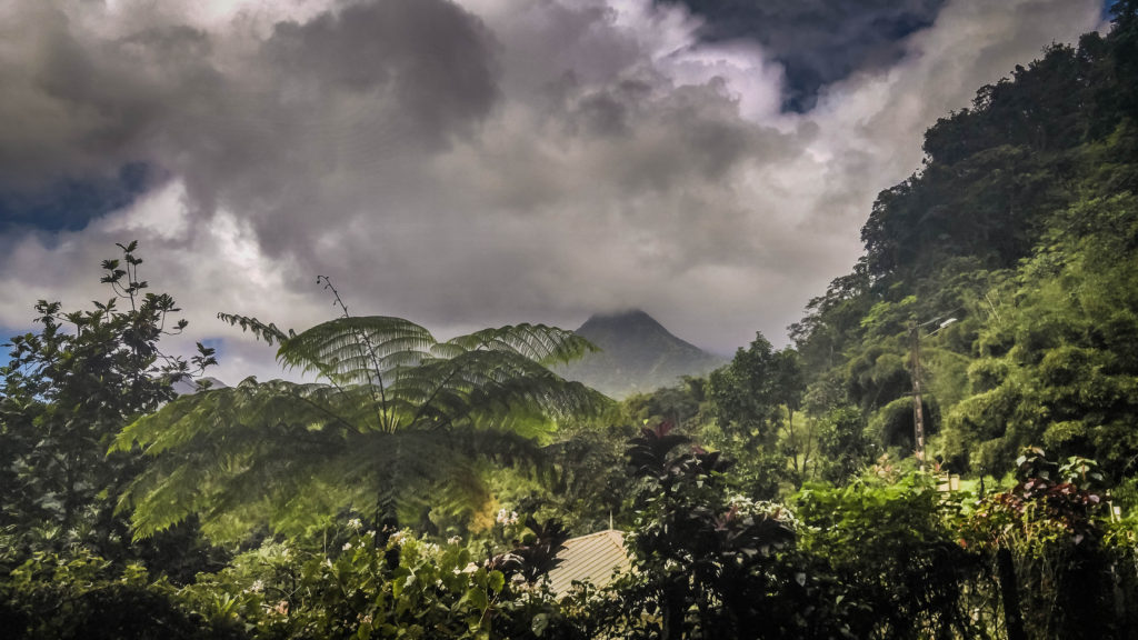 10 Amazing Things To Do In Martinique