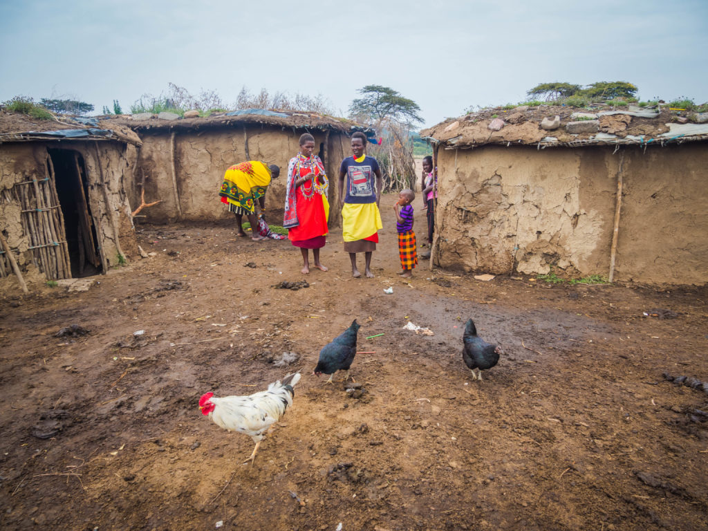 Travel - Visiting a Maasai Village - Maasai women walking aroud a traditional Maasai Village